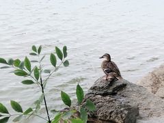 -卫鼎轩·家宴(水上公园店)