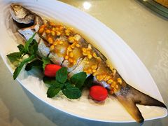 炭烧黄螺-海门1号