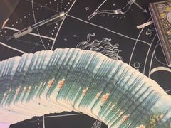 -雪灵魔法世界SHELLY’S TAROT(大良桂畔里店)