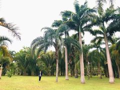 -中国科学院西双版纳热带植物园
