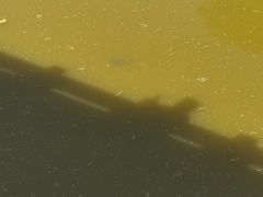 -南海神庙