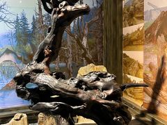 -乐山乌木文化博览苑