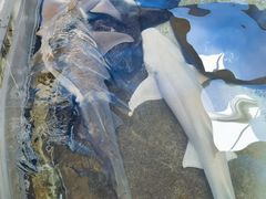 -鸿通城购物中心