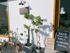 -AHAVA·Fang Baking Studio