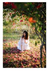 -菲林婚纱摄影工作室