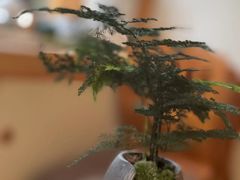 -紫· 割烹  Kappo Murasaki