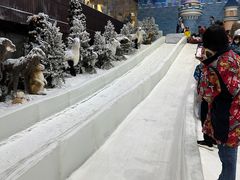 -世界之窗阿尔卑斯冰雪世界