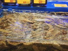 -万宝海鲜舫(劳动公园店)