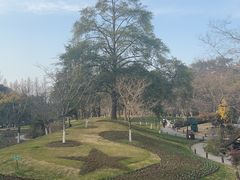 -九曜山