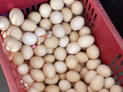 -李东农庄(中南百草园地标店)