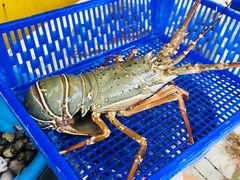 -拉威海鲜市场