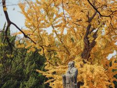 -苏州碑刻博物馆