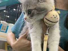 -博特宠物医院24h犬猫全科.骨科·异宠