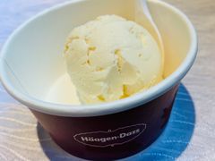 哈根达斯-领鲜活海鲜榴莲自助火锅(东门店)