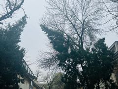 -山东大学(趵突泉校区)