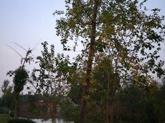 -白鹭湾湿地公园