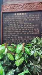 点击看大图 -瑞蚨祥(大栅栏店)