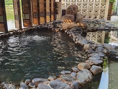 -春晖园度假酒店温泉