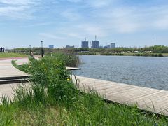 -春花秋色城市公园