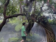 -Chom Cafe and Restaurant