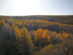 -塞罕坝国家级自然保护区