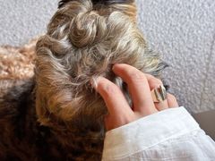 -花仓咖啡(祥安巷店)