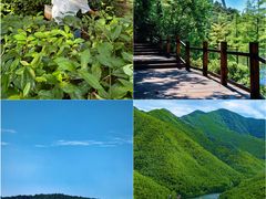 -天目湖山水园
