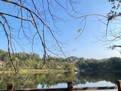 -大屏嶂森林公园
