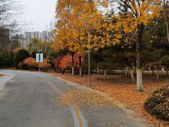 -永定河休闲森林公园