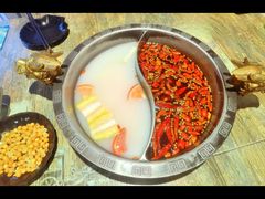 -销魂美蛙鱼头火锅(上海首店)