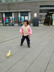 -恐龙探索乐园(磁器口店)