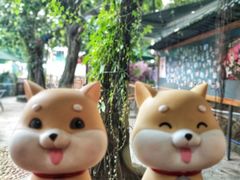 -柴犬高等学院·狗咖·柴犬售卖·宠物训练