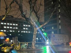 -中国科学院上海有机化学研究所客座人员公寓