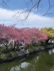 -孩子王(昆山招商花园城店)