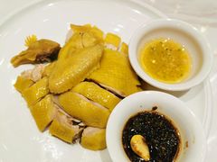 白切湛江鸡-隆聚·时令海鲜(洪兴店)