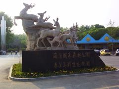 -秦皇岛野生动物园
