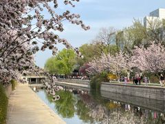 -元大都城垣遗址公园