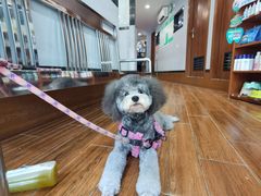 -瑞派动物医院·绝育·犬猫全科·预防医学(光景江南中店)