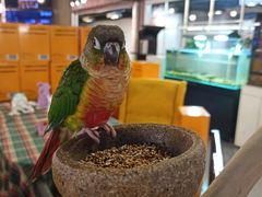 -宠物世家(仲盛世界商城店)