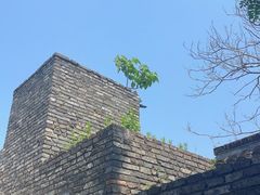 -水绘园
