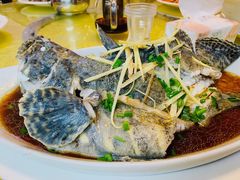 清蒸石斑鱼-浩海美食店(闸坡店)