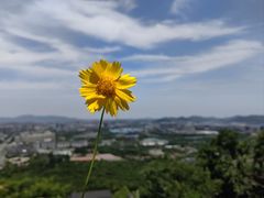 -南京市江宁方山