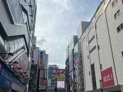 -秋叶原电器街