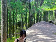 -玉苍山国家森林公园