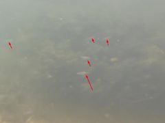 -藏龙百瀑漂流