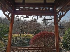 -杭州植物园