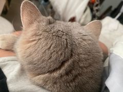 -老乡鸡(合肥火车站店)