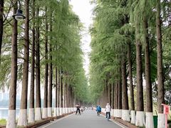 -东湖生态旅游风景区