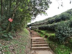 -西湖风景区十里琅珰-五云山