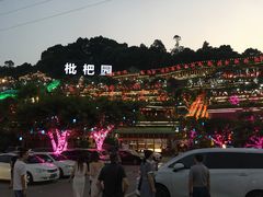 -枇杷园食为鲜火锅(南山店)